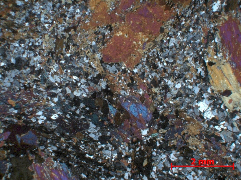  Microscope Diorite Diorite    