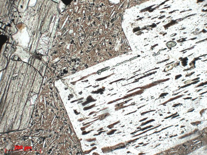  Microscope Andésite à hypersthène Andésite à hypersthène Iles éoliennes Ile de Lipari  