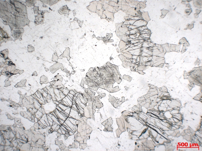  Microscope Gabbro Gabbro à olivine du Kakoulima Complexe de Kakoulima Mont Kakoulima  
