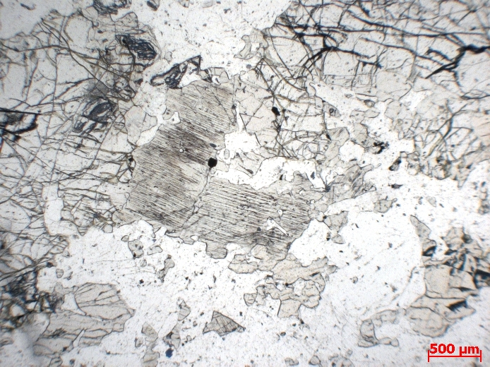  Microscope Gabbro Gabbro à olivine du Kakoulima Complexe de Kakoulima Mont Kakoulima  