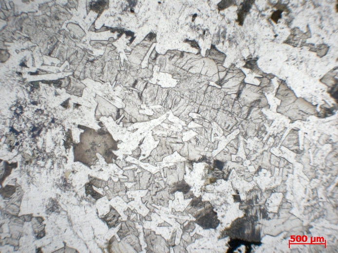  Microscope Diorite quartzique Diorite de Fouta Djalon Fouta Djalon  Labé 
