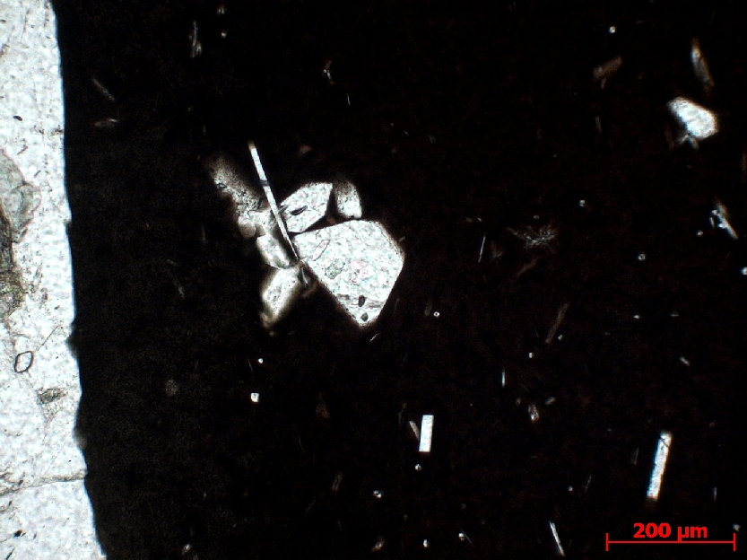  Microscope Bordure figée d’une dolérite au contact d’une monzonite Bordure figée d’une dolérite au contact d’une monzonite Fouta Djalon   