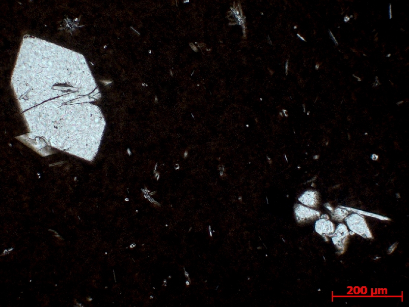 Microscope Bordure figée d’une dolérite au contact d’une monzonite Bordure figée d’une dolérite au contact d’une monzonite Fouta Djalon   