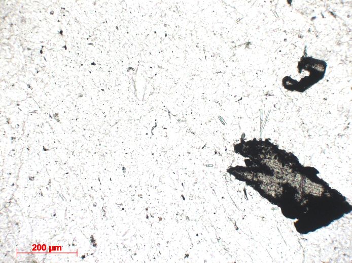  Microscope Plagiogranite Xénolite de granophyre Islande Krafla  Cratère Víti