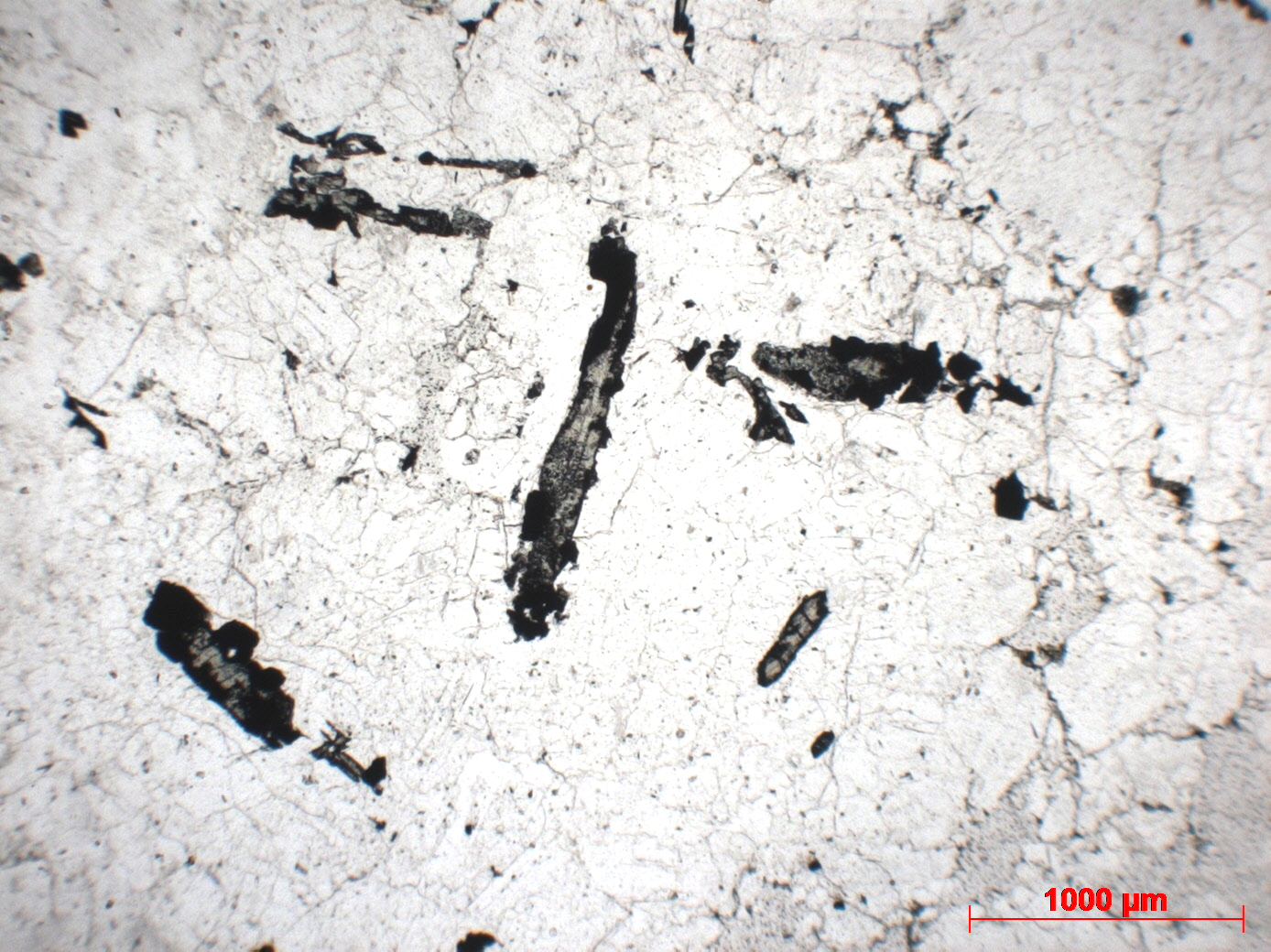 Plagiogranite Xénolite de granophyre Islande Krafla  Cratère Víti