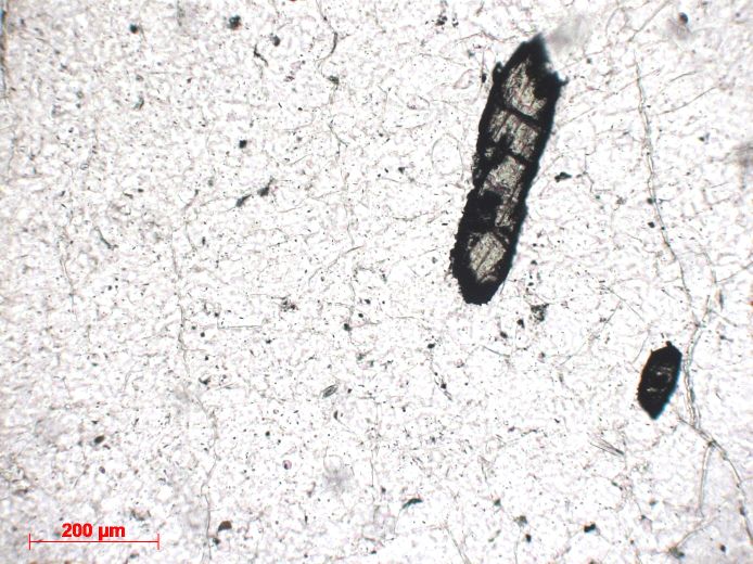  Microscope Plagiogranite Xénolite de granophyre Islande Krafla  Cratère Víti