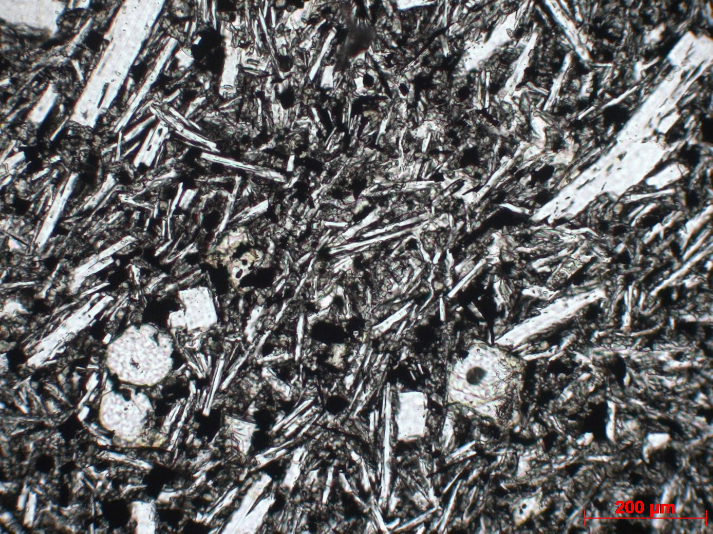 Basalte porphyrique Basalte à olivine et pyroxène du Laki Islande Laki  