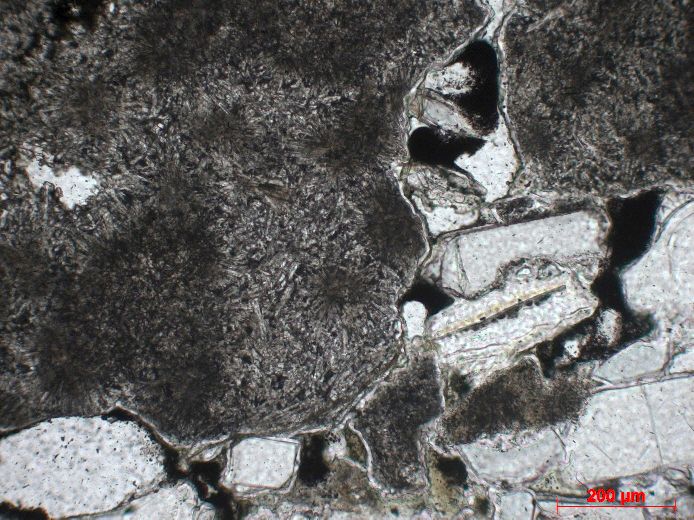  Microscope Brèche hyaloclastique Hyaloclastite du Torfajökull Islande Torfajökull  
