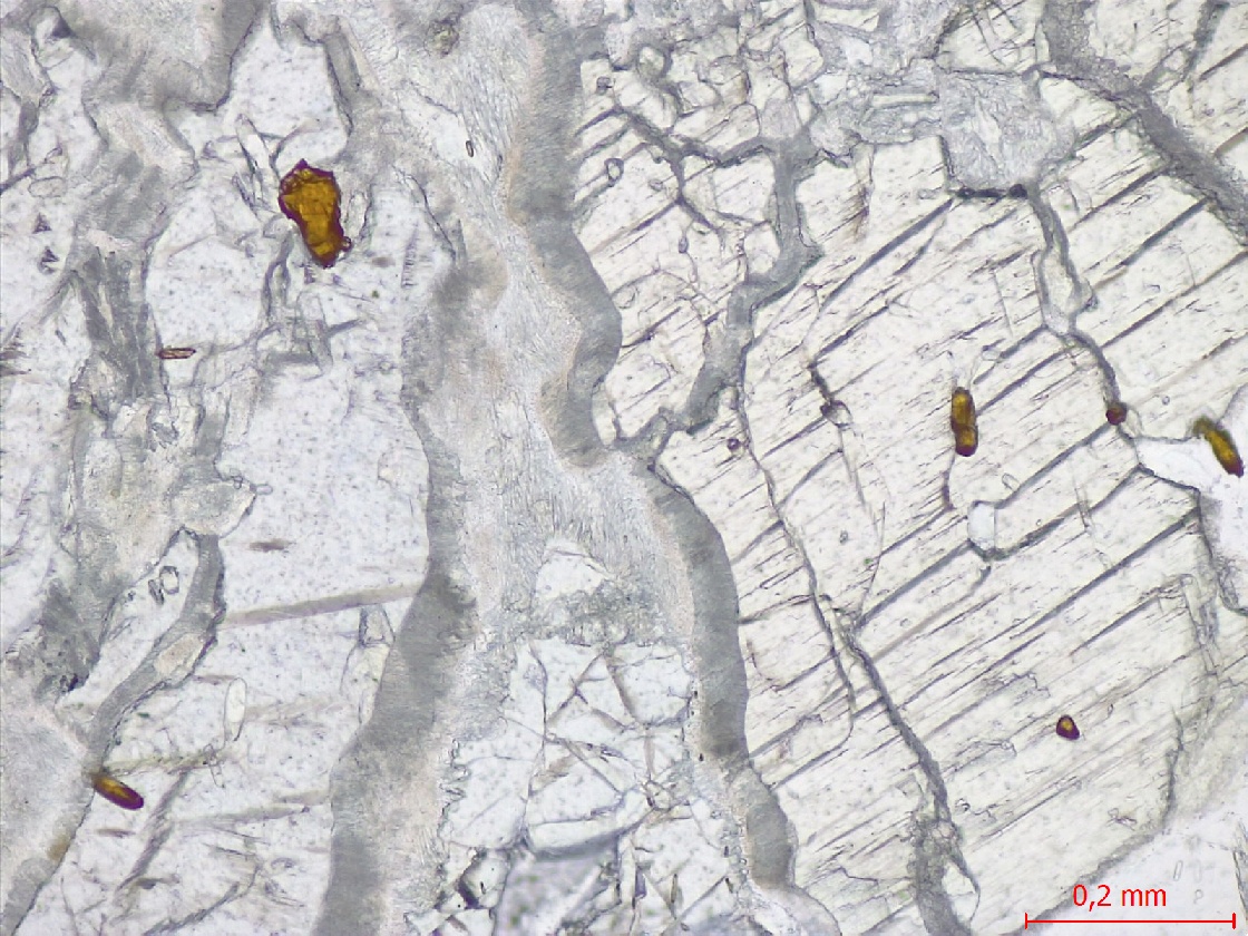  Microscope Éclogite Éclogite hercynienne de Vendée Massif armoricain Unité de haute pression des Essarts Saint-Philbert-de-Grand-Lieu La Compointerie