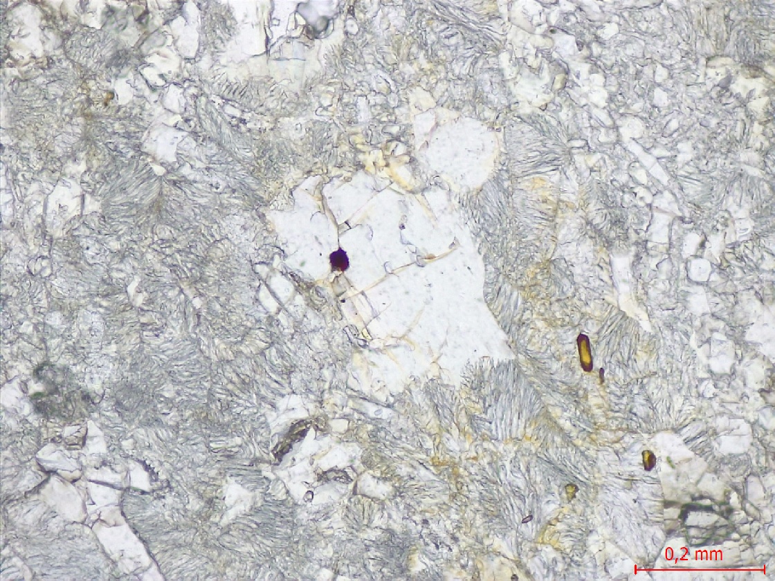  Microscope Éclogite Éclogite hercynienne de Vendée Massif armoricain Unité de haute pression des Essarts Saint-Philbert-de-Grand-Lieu La Compointerie