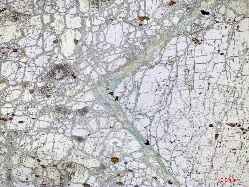  Microscope Éclogite Éclogite hercynienne de Vendée Massif armoricain Unité de haute pression des Essarts La Compointerie 