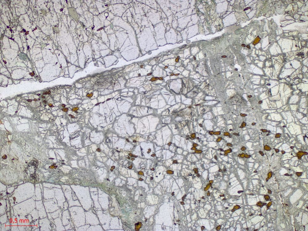  Microscope Éclogite Éclogite hercynienne de Vendée Massif armoricain Unité de haute pression des Essarts La Compointerie 