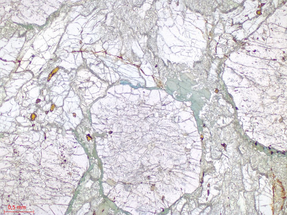  Microscope Éclogite Éclogite hercynienne de Vendée Massif armoricain Unité de haute pression des Essarts Saint-Philbert-de-Grand-Lieu La Compointrie