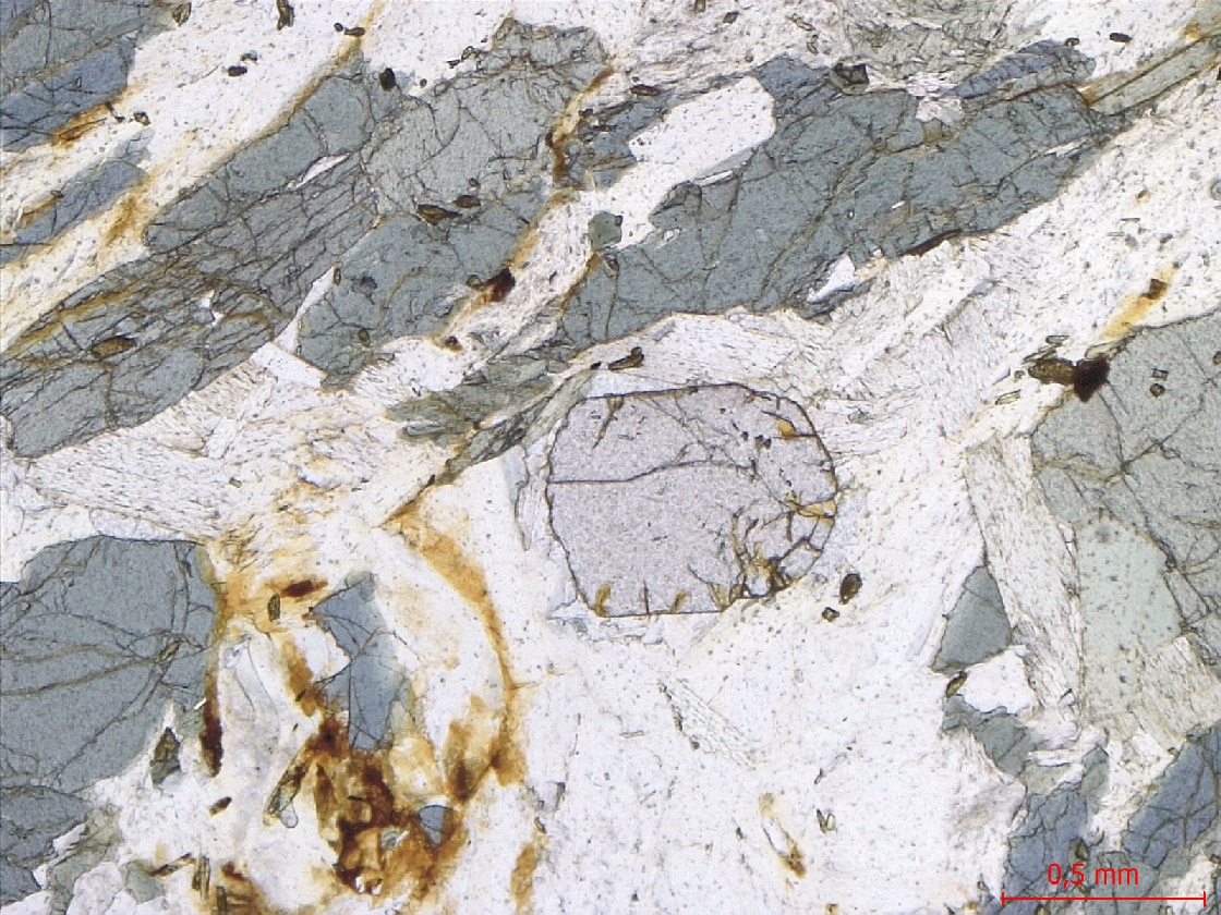 Microscope Micaschiste à grenat et chloritoïde Micaschiste de Bois-de-Céné Massif armoricain Unité de Bois-de-Céné Paulx La Platelière