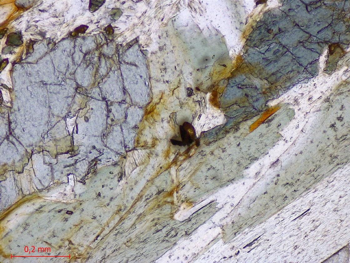 Microscope Micaschiste à grenat et chloritoïde Micaschiste de Bois-de-Céné Massif armoricain Unité de Bois-de-Céné Paulx La Platelière
