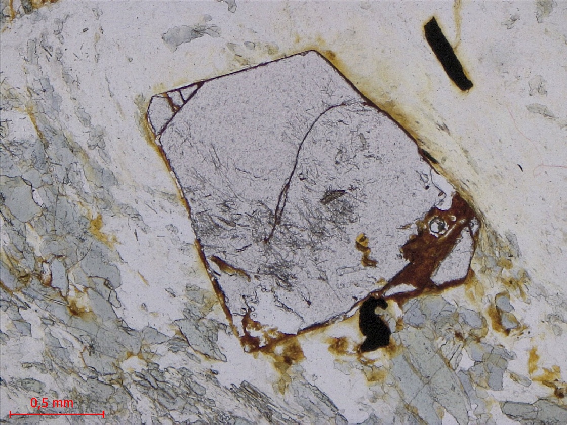  Microscope Micaschiste à grenat et chloritoïde Micaschiste de Bois-de-Céné Massif armoricain Unité de Bois-de-Céné Paulx La Platelière