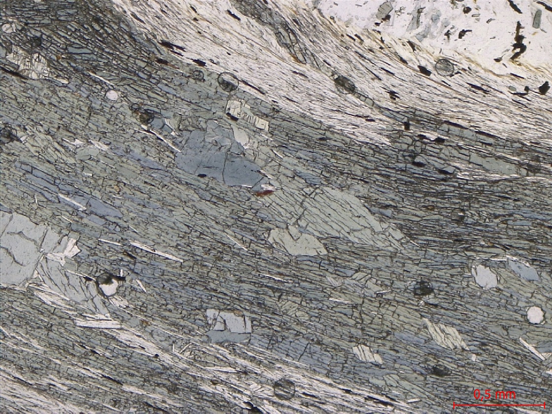  Microscope Micaschiste à grenat et chloritoïde Micaschiste de Bois-de-Céné Massif armoricain Unité de Bois-de-Céné Paulx La Platelière