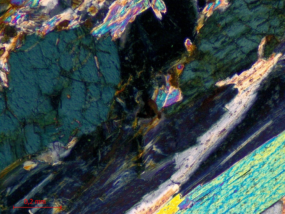  Microscope Micaschiste à grenat et chloritoïde Micaschiste de Bois-de-Céné Massif armoricain Unité de Bois-de-Céné Paulx La Platelière