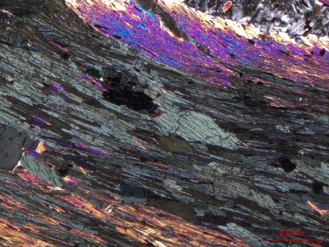  Microscope Micaschiste à grenat et chloritoïde Micaschiste de Bois-de-Céné Massif armoricain Unité de Bois-de-Céné Paulx La Platelière