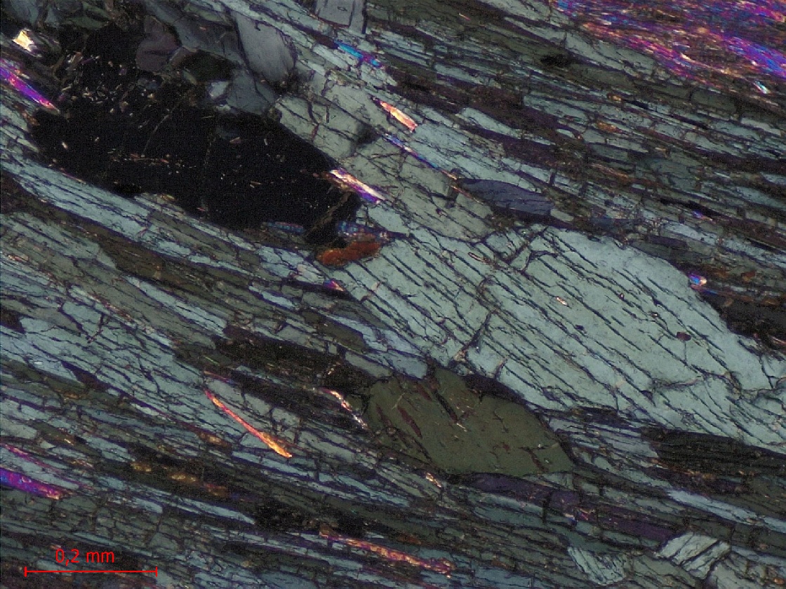  Microscope Micaschiste à grenat et chloritoïde Micaschiste de Bois-de-Céné Massif armoricain Unité de Bois-de-Céné Paulx La Platelière
