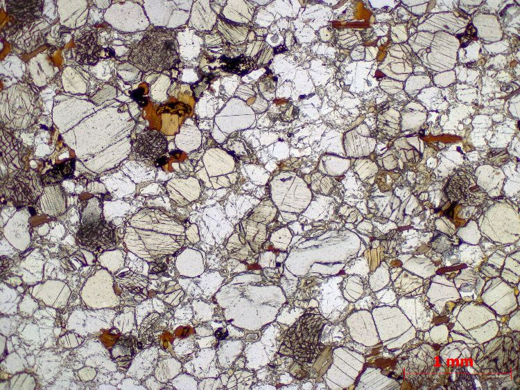  Microscope Enclave granulitique Xénolithe de granulite basique de Bournac Massif central Velay Saint-Front Bournac