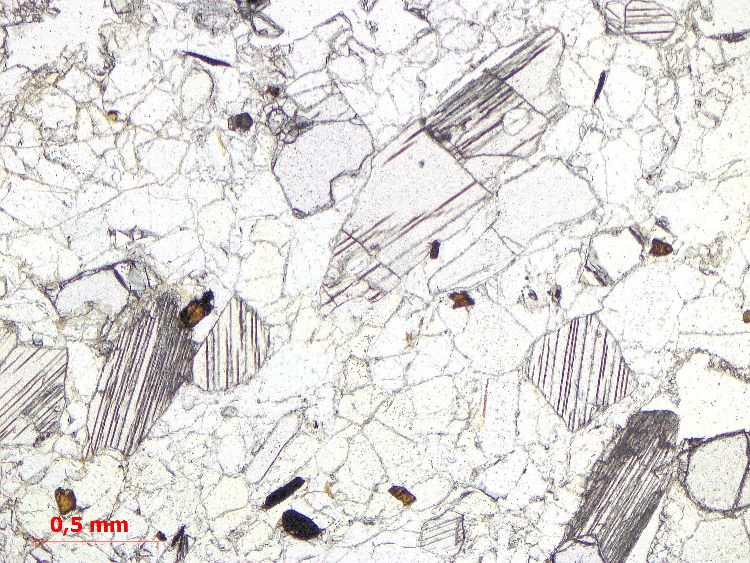  Microscope Enclave de granulite dans un basalte Méta-pélite granulitique de Bournac Massif central Velay Saint-Front Bournac