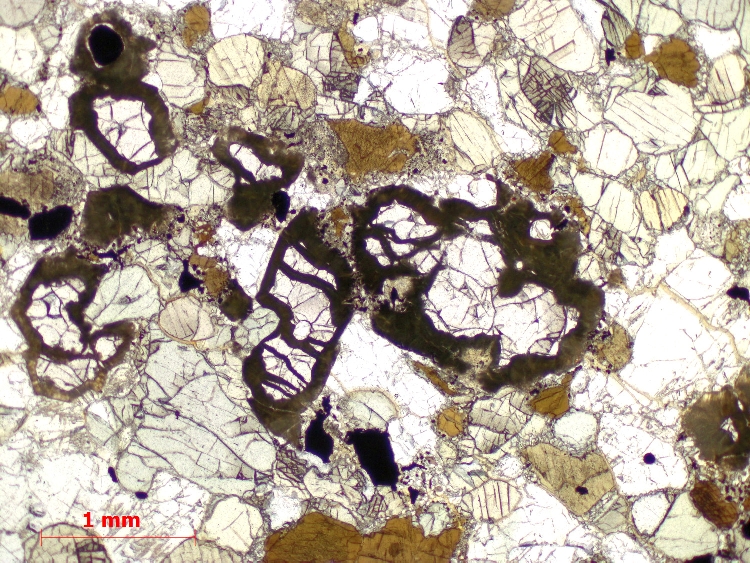  Microscope Enclave de granulite dans un basalte Xénolite granulitique de Bournac Massif central Velay Saint-Front Bournac