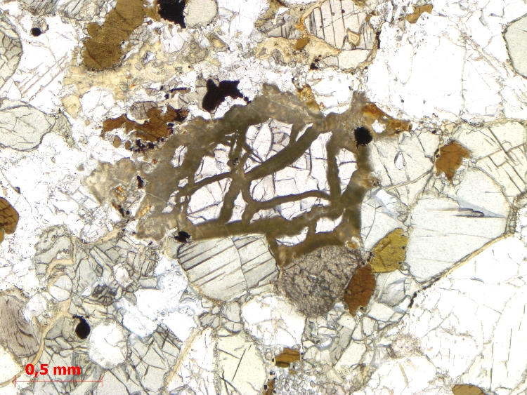  Microscope Enclave de granulite dans un basalte Xénolite granulitique de Bournac Massif central Velay Saint-Front Bournac