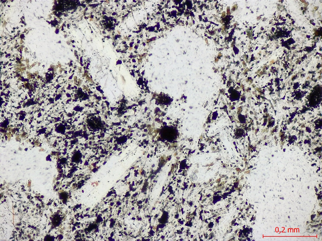  Microscope Trachyandésite Trachyandésite dite “Pierre de Volvic“ Massif central Chaîne des Puys Volvic Coulée de la Nugère