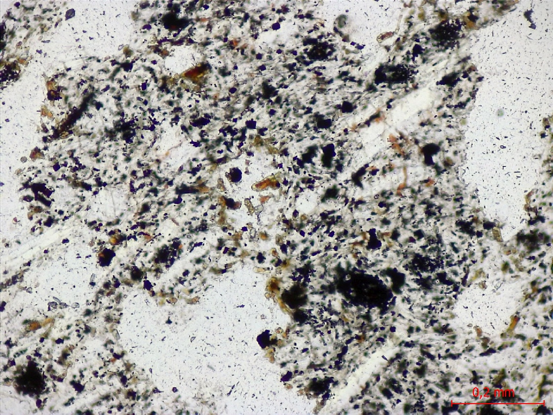  Microscope Trachyandésite Trachyandésite dite “Pierre de Volvic“ Massif central Chaîne des Puys Volvic Coulée de la Nugère