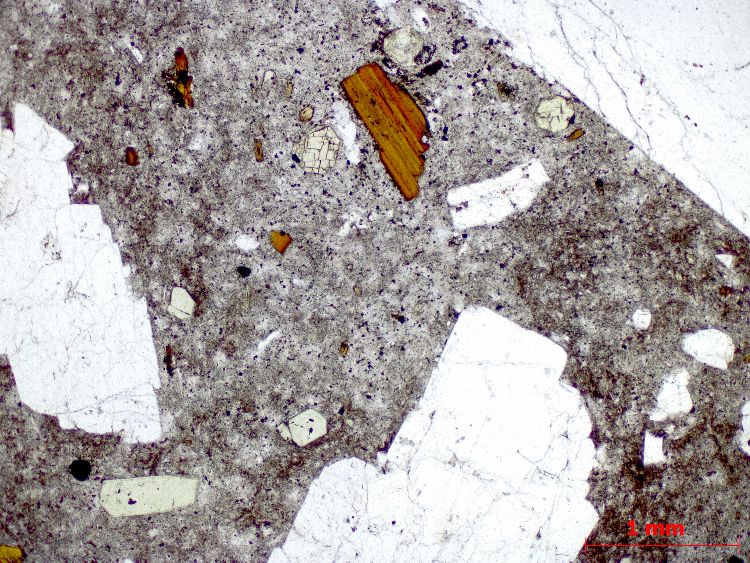  Microscope Sancyite Trachyandésite du Mont-Dore Massif central Mont Dore Chambon-sur-Lac Col de la Croix Saint Robert