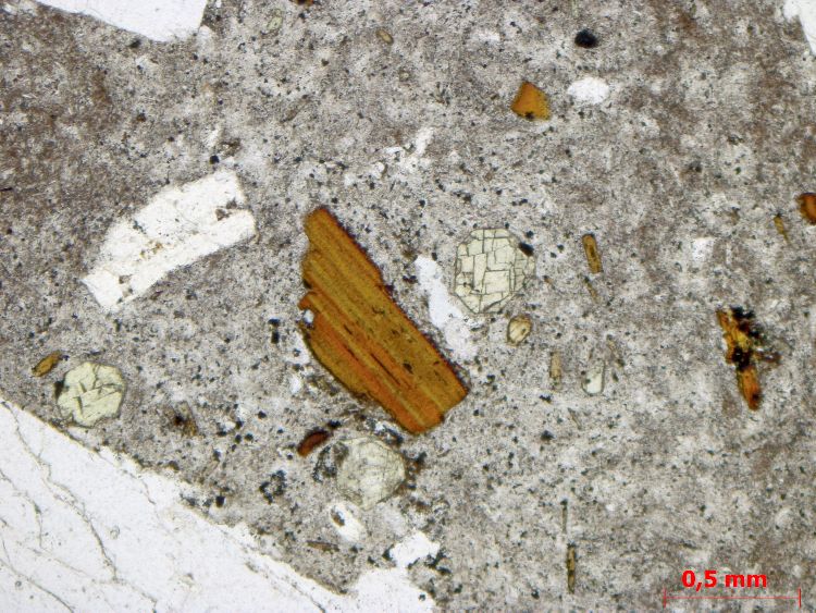  Microscope Sancyite Trachyandésite du Mont-Dore Massif central Mont Dore Chambon-sur-Lac Col de la Croix Saint Robert