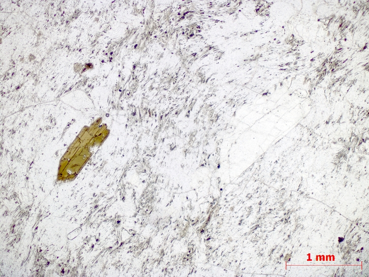  Microscope Rhyolite Rhyolite vitreuse du dôme de La Gâcherie Massif central Mont Dore Murat-le-Quaire La Gâcherie