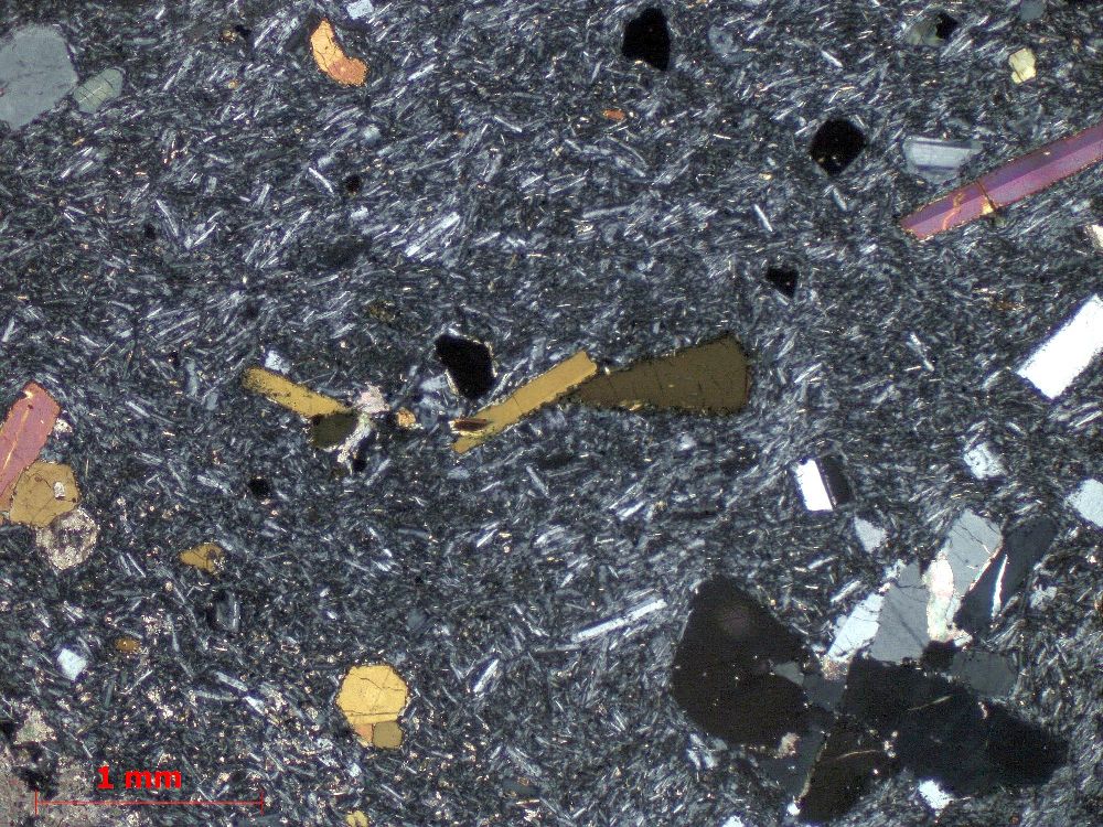  Microscope Phonolite à haüyne Phonolite de la Roche Sanadoire Massif central Mont Dore Orcival La roche Sanadoire