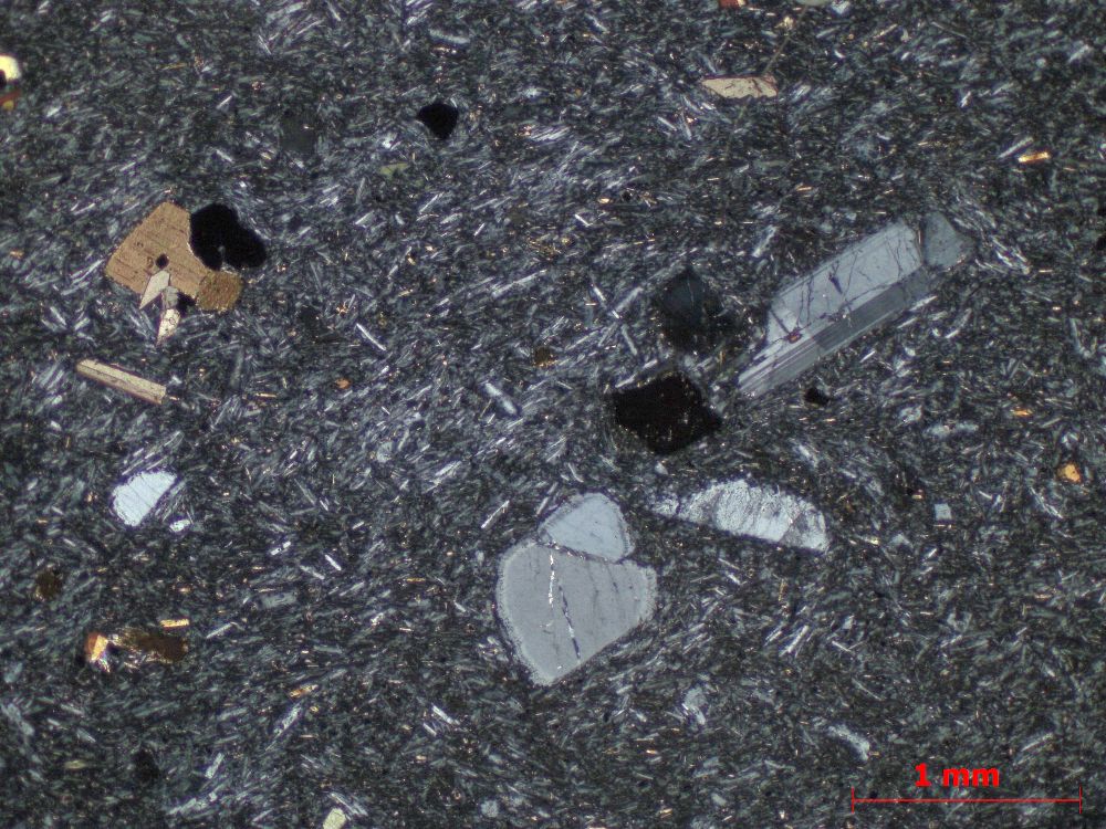  Microscope Phonolite à haüyne Phonolite de la Roche Sanadoire Massif central Mont Dore Orcival La roche Sanadoire
