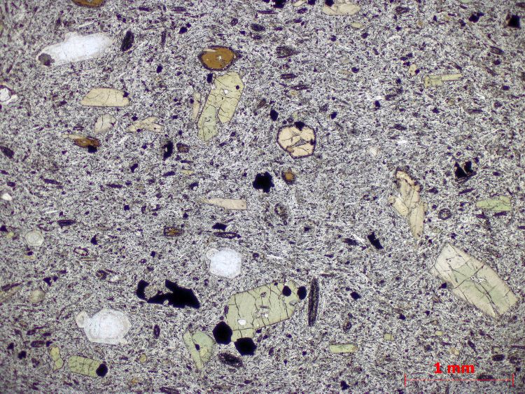 Microscope Phonolite à haüyne Phonolite à haüyne Massif central Mont Dore  