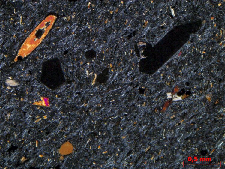  Microscope Phonolite à haüyne Phonolite à haüyne Massif central Mont Dore  