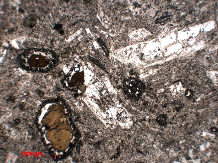  Microscope Trachyte Trachyte du Suc de Monac Massif central Velay Chapteuil Suc de Monac