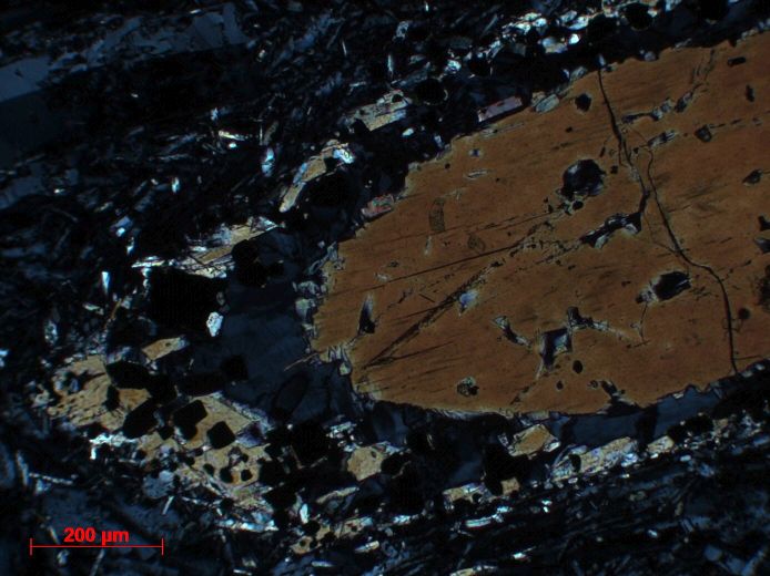  Microscope Trachyte Trachyte du Suc de Monac Massif central Velay Chapteuil Suc de Monac