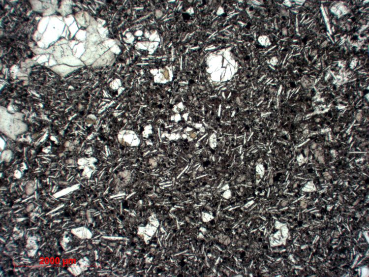  Microscope Basalte Basalte aphyrique Massif central Velay Le Pertuis Mont Loségal 