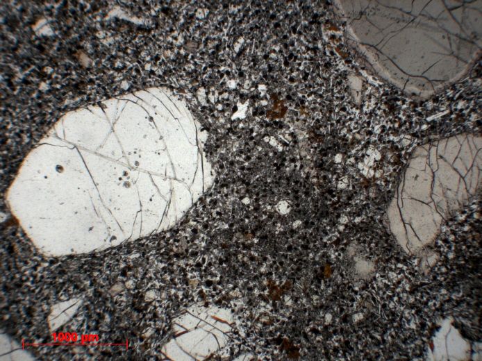  Microscope Ankaramite Basalte à pyroxène et olivine Massif central Velay Fay sur Lignon Le Petit Champagnac