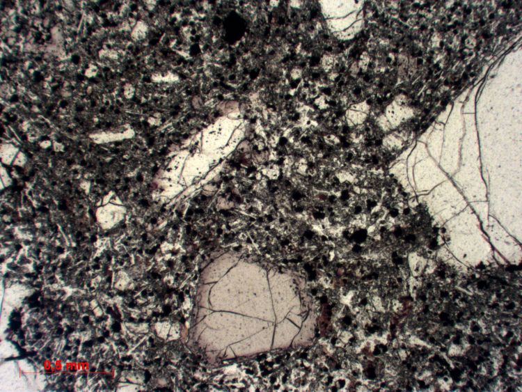  Microscope Ankaramite Basalte à pyroxène et olivine Massif central Velay Fay sur Lignon Le Petit Champagnac