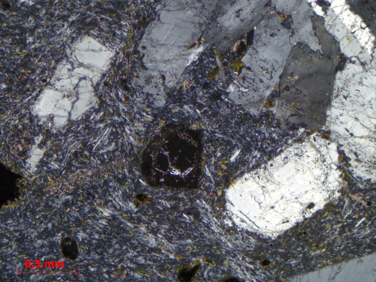  Microscope Phonolite à haüyne Phonolite du Suc de Touron Massif central Velay Borée Le Suc de Touron
