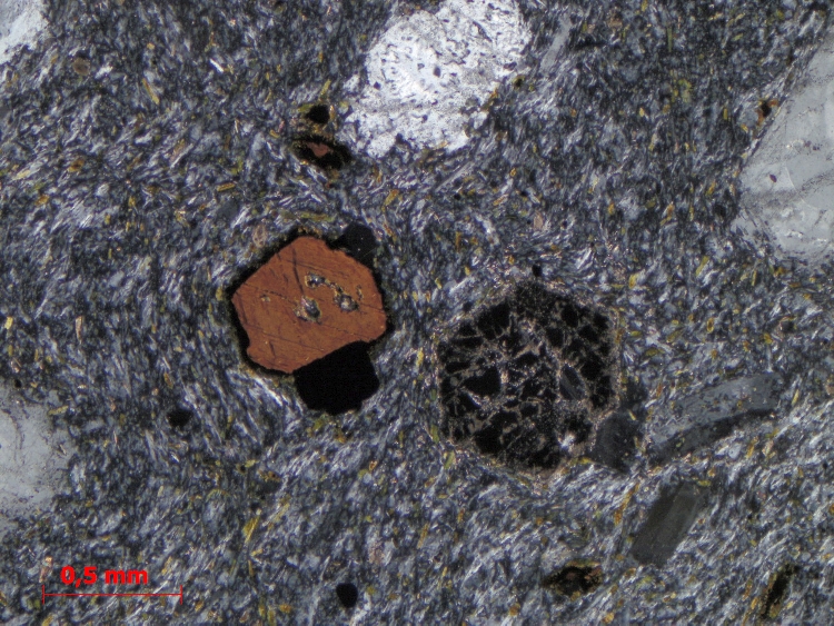  Microscope Phonolite à haüyne Phonolite du Suc de Touron Massif central Velay Borée Le Suc de Touron
