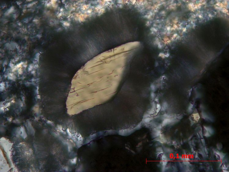  Microscope Éclogite Éclogite du Limousin Massif central Bas-Limousin Benayes Puy de Bavaud