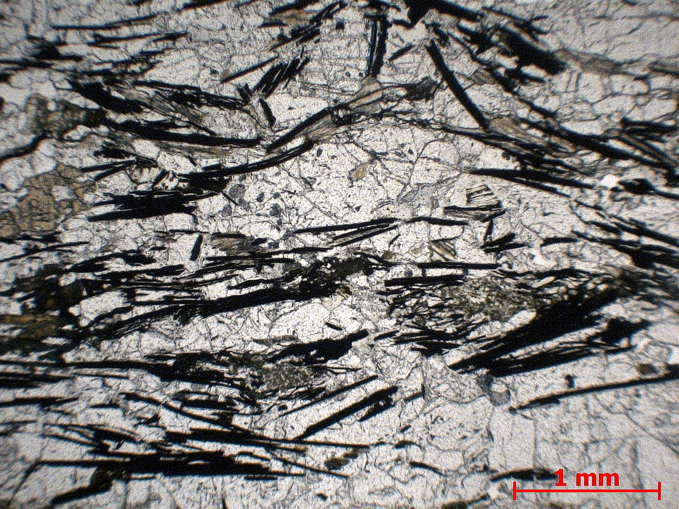 Gneiss à graphite Gneiss à graphite   Andasibe (Perinet) Exploitation de graphite Izouard
