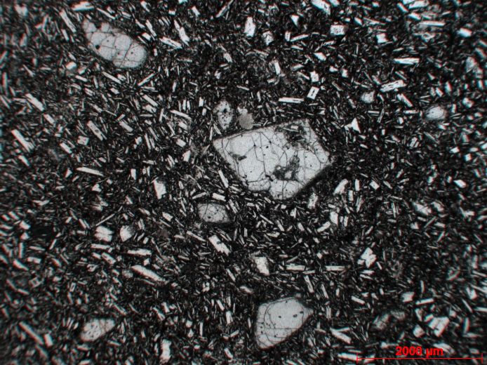  Microscope Basalte Basalte à olivine Axe volcanique trans-mexicain  Nepantla 