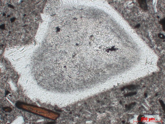  Microscope Andésite Andésite Axe volcanique trans-mexicain Pico de Orizaba  
