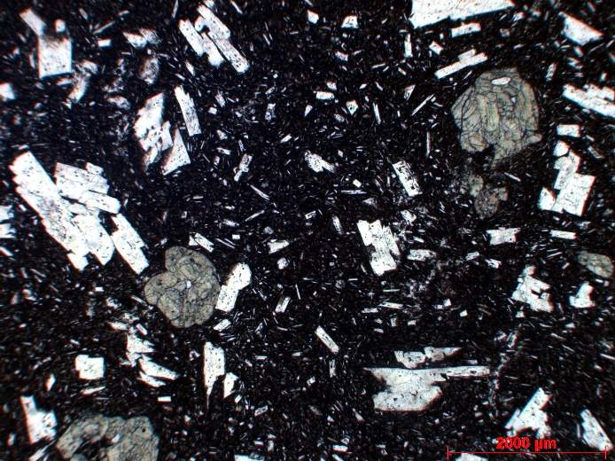  Microscope Andésite Andésite sombre porphyrique à plagioclase et clinopyroxène Axe volcanique trans-mexicain Pico de Orizaba  
