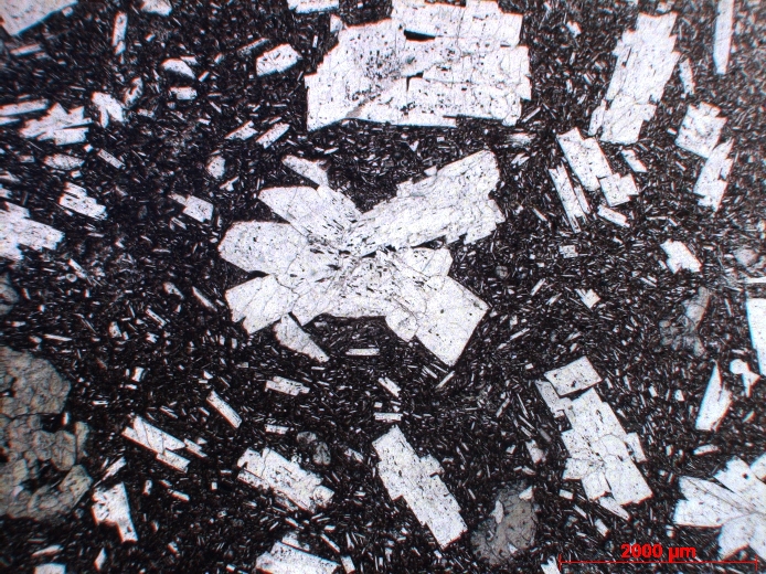  Microscope Andésite Andésite sombre porphyrique à plagioclase et clinopyroxène Axe volcanique trans-mexicain Pico de Orizaba  